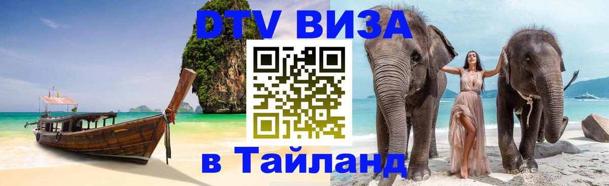 Оформление DTV визы под ключ: стоимость и тарифы, только загранпаспорт - Сана 